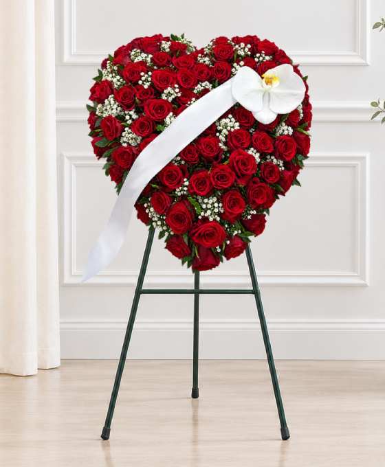 Coeur de roses rouges avec orchidée, plein et bordé de gypsophile, avec un ruban blanc